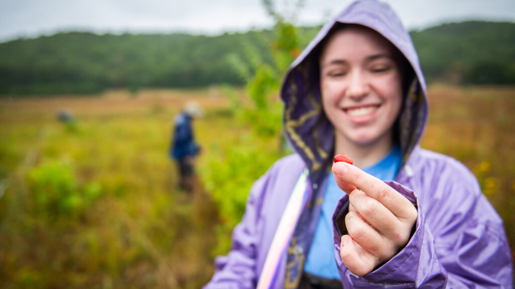 A student holing a berry during an outdoor field trip as part of an environmental restoration project