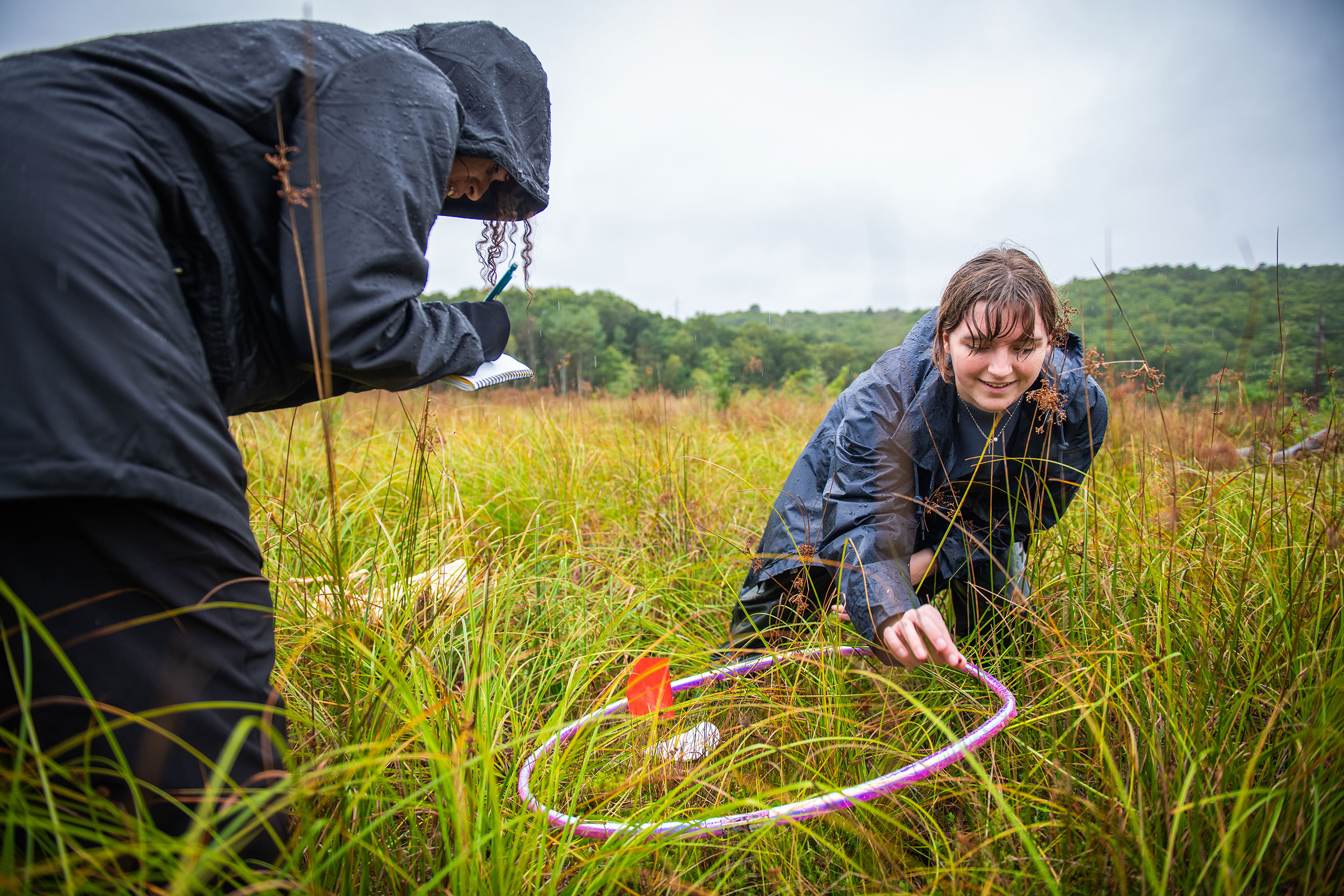 Students count the number of ants found