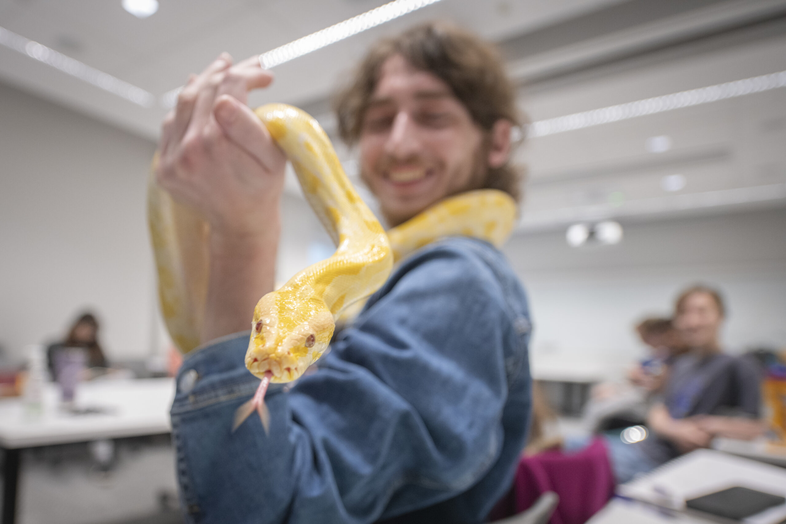 Photo essay: Reptiles visit Clark
