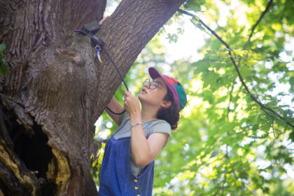 student working in tree