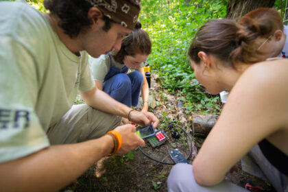 students work at forest floor