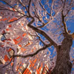 Johnas Clark Hall in snow