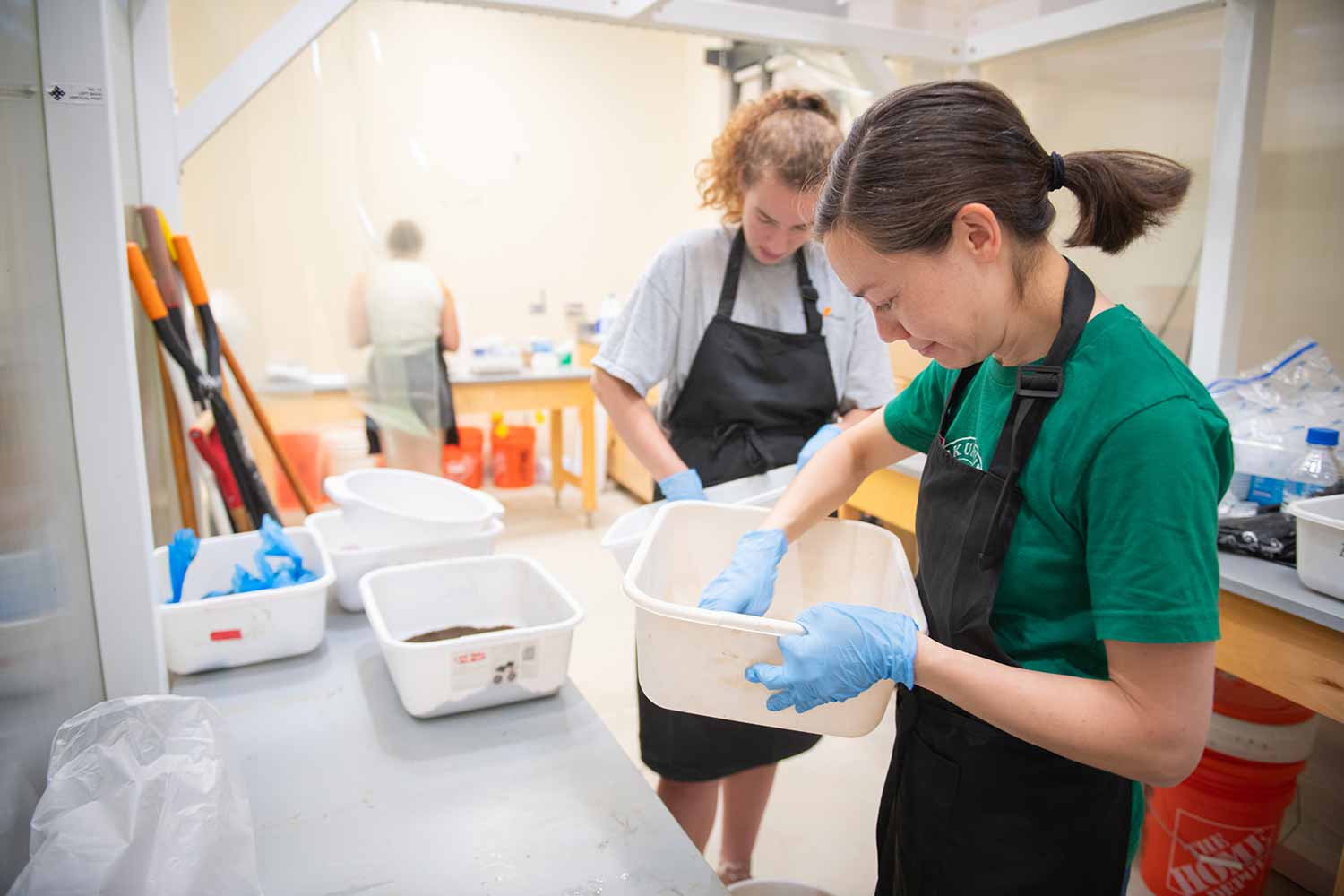 A biology professor and student work together with samples for a research study on dung beetles.