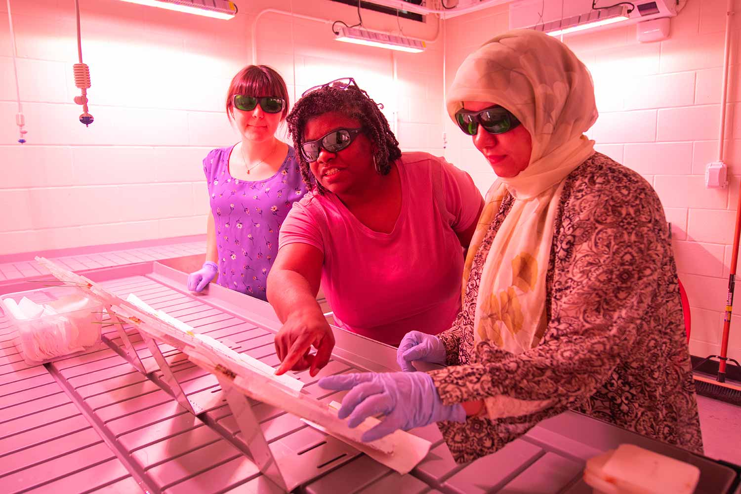 A professor and students wearing protective eyewear work in a biology lab with specialized lighting equipment, Clark University.