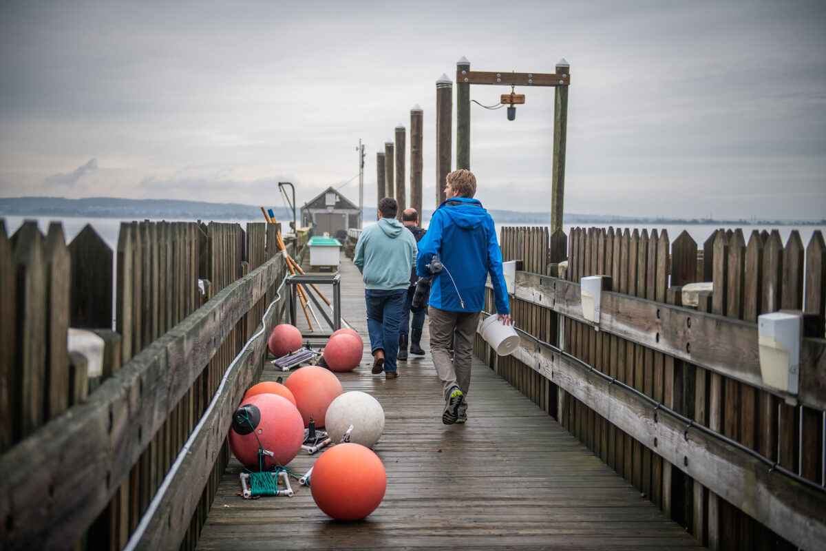 People walking on dock