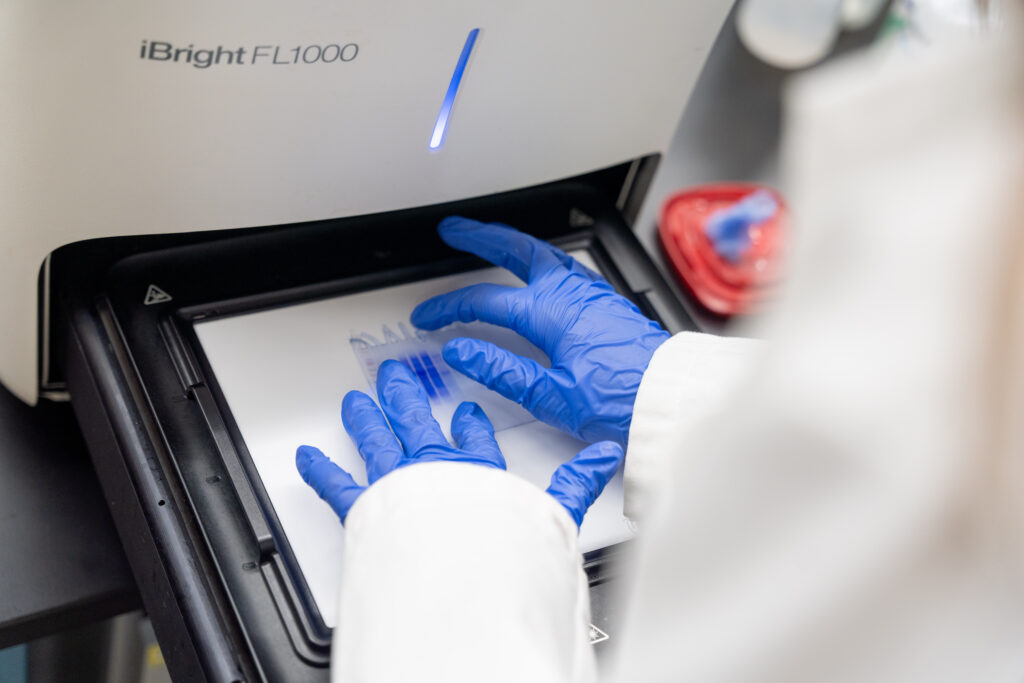 student works in science lab