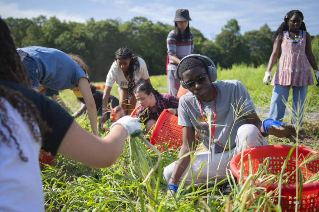 students work on farm