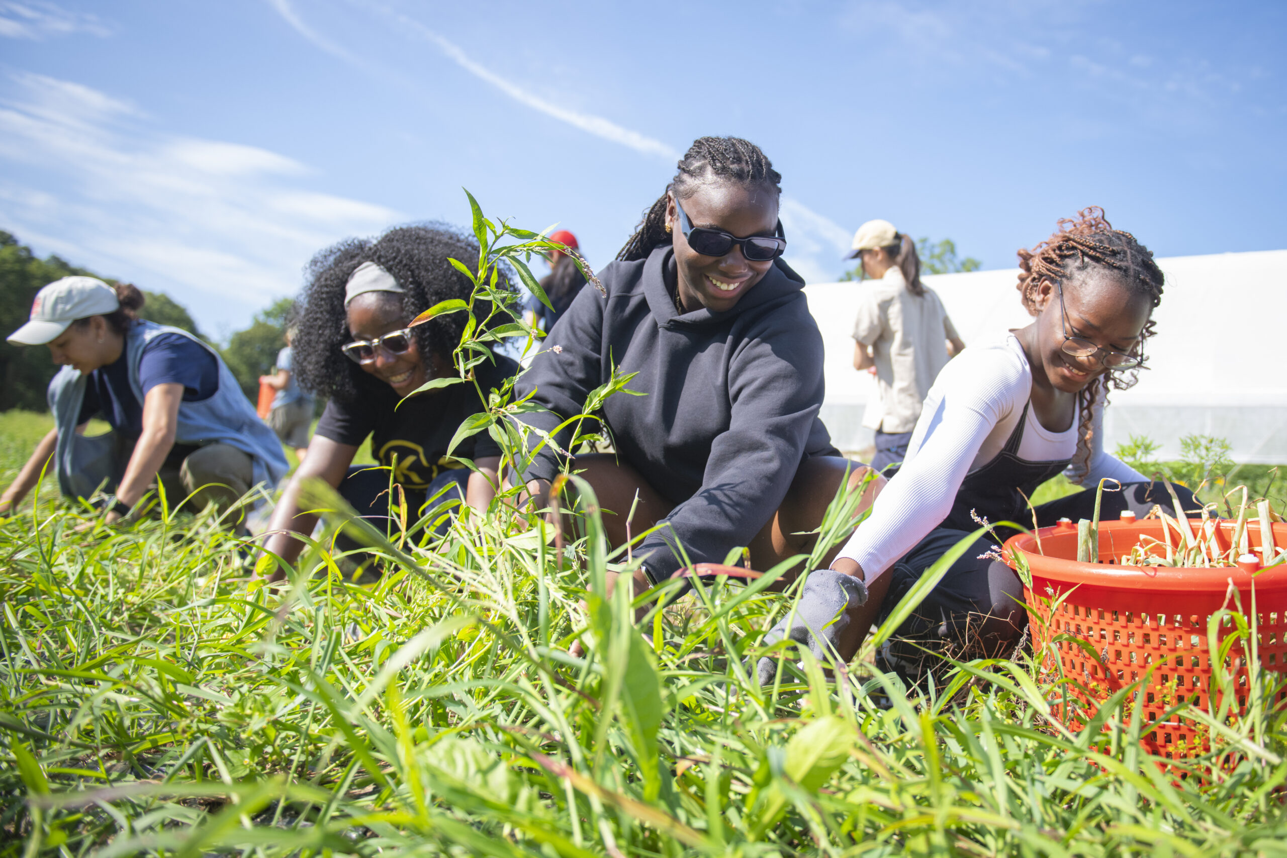 Photo Essay: 2025 ACE cohort volunteers at local farm