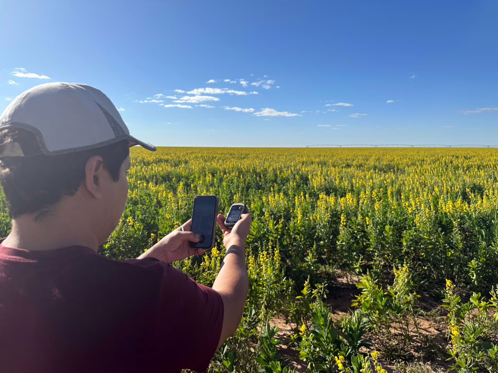 Antonio Fonseca in soybean field