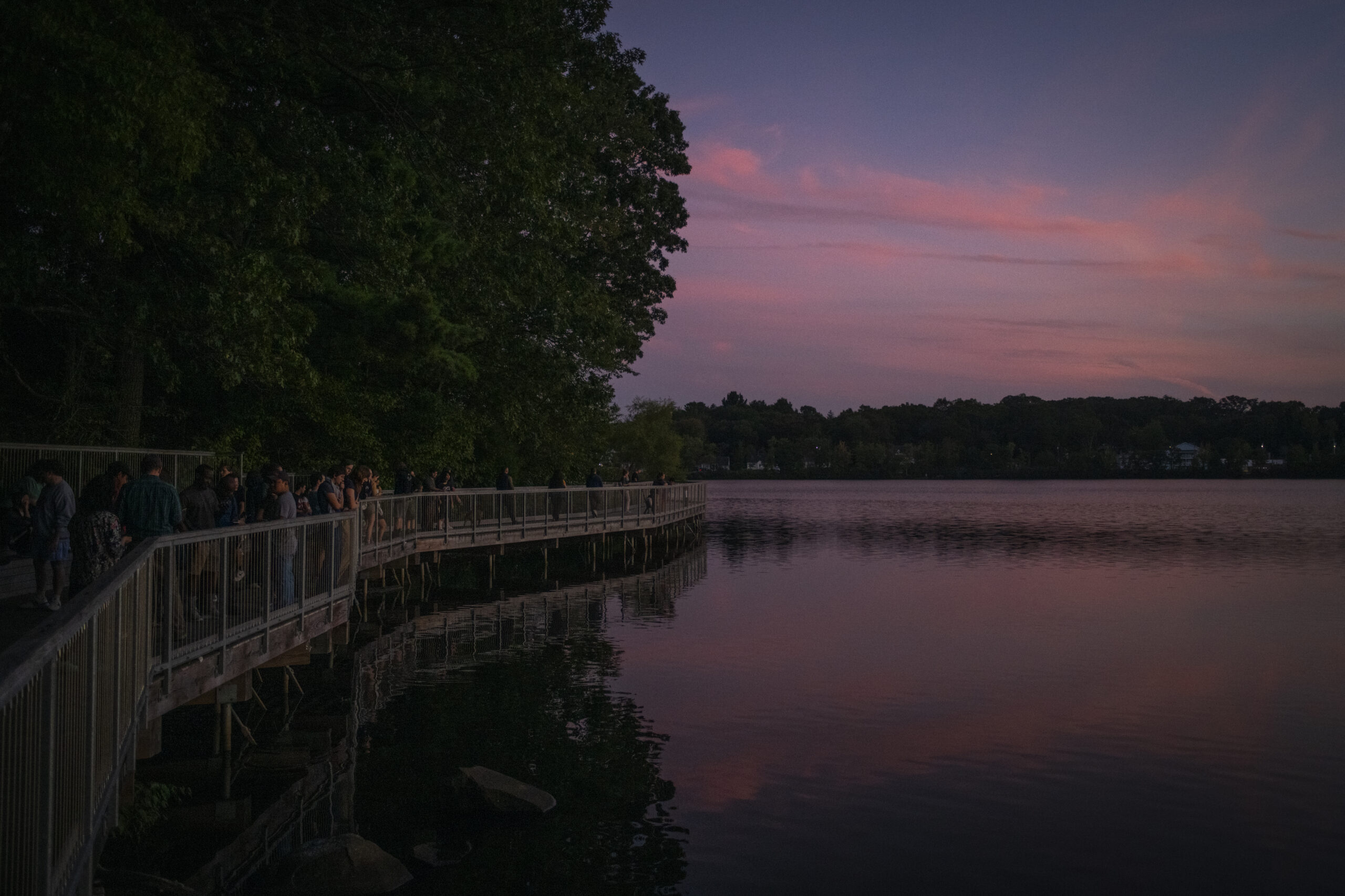 people walk on boardwalk at pond at sunset