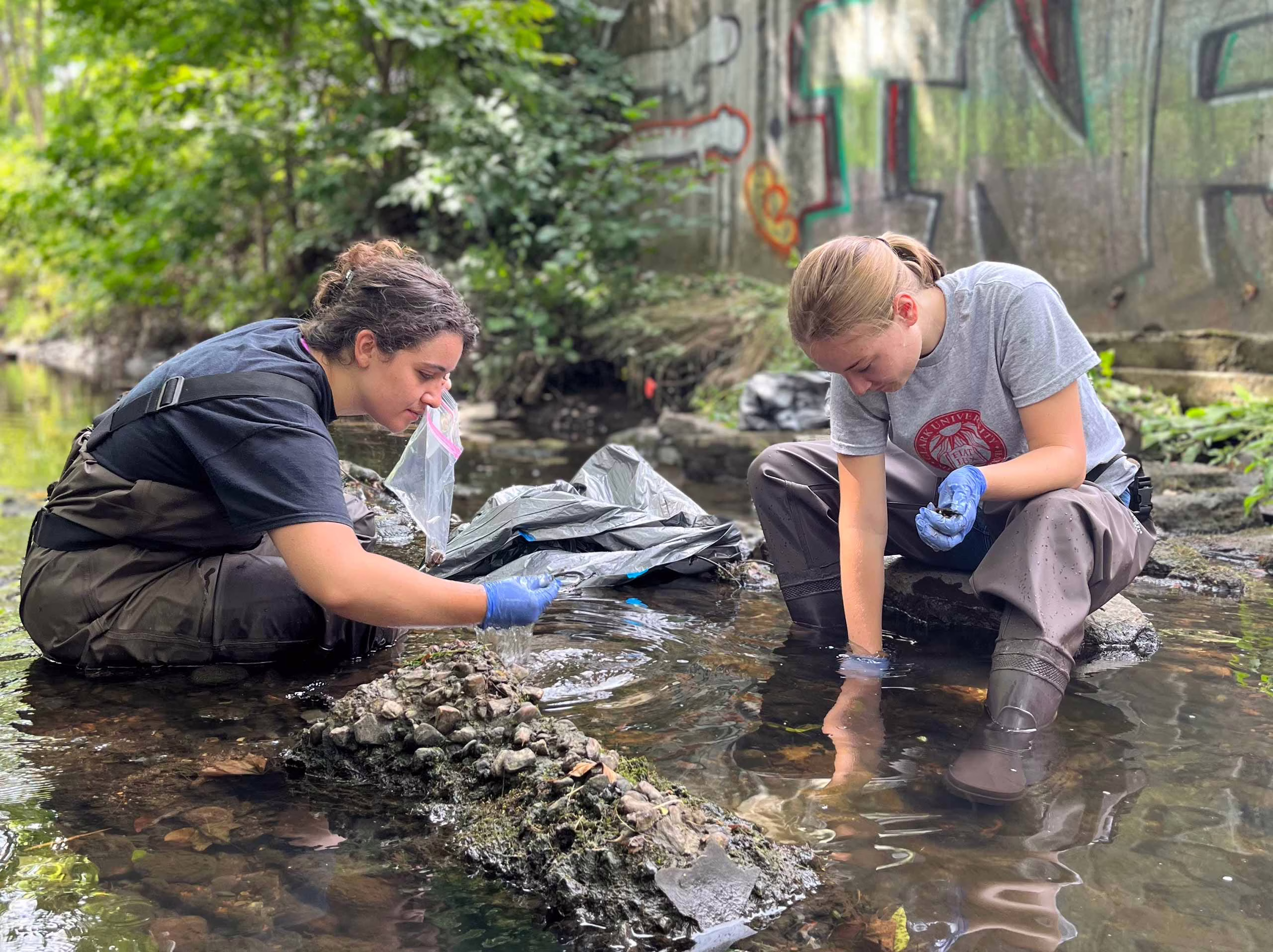 Students cleaning up litter at Beaver Brook near campus