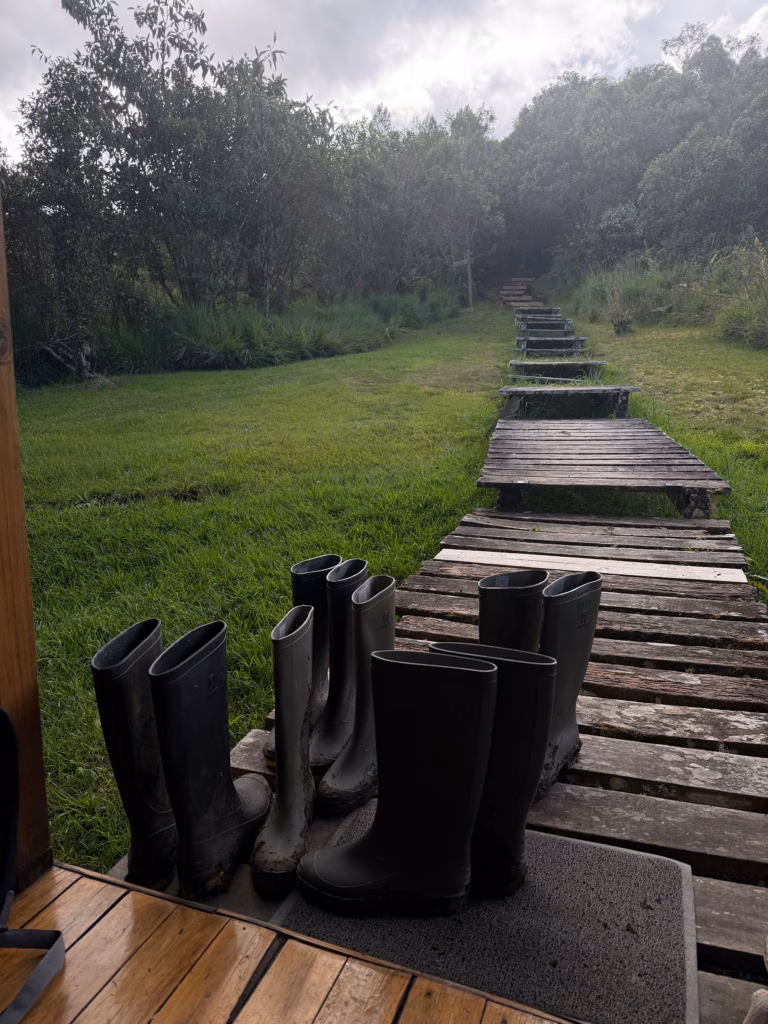 Boots on a path
