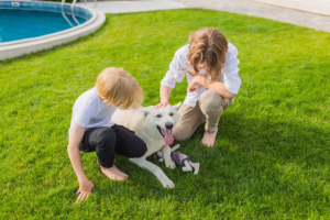 Boys playing with dog on the lawn