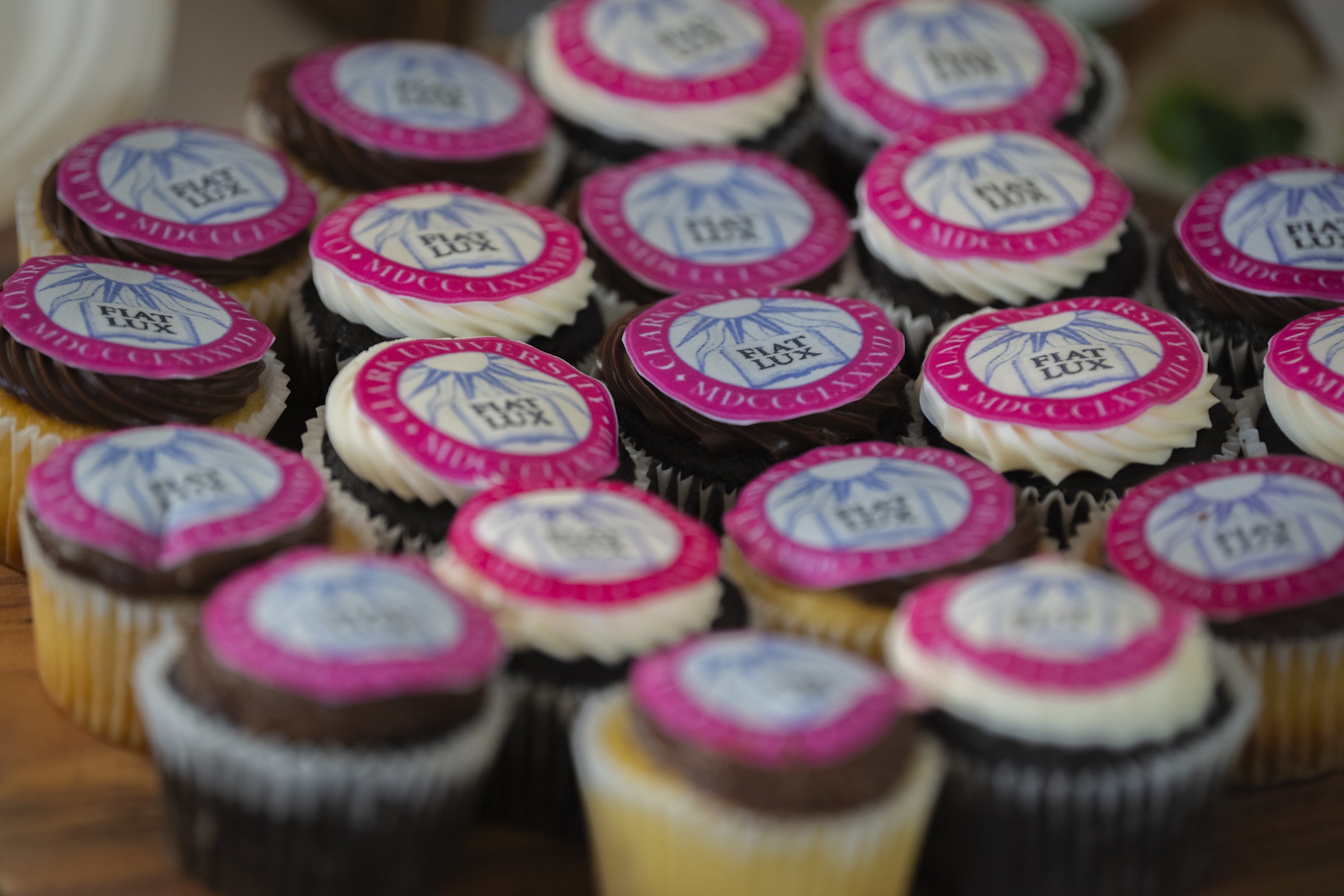 cupcakes