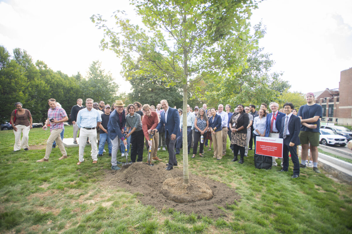 group of people plant tree