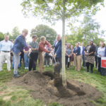 group of people plant tree