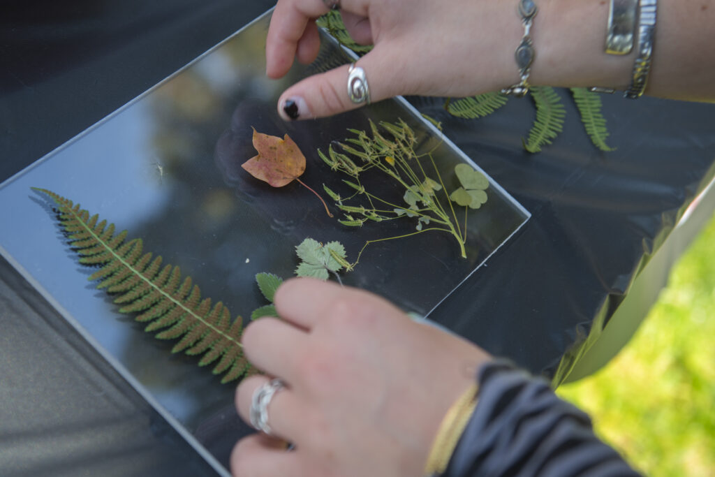 student makes cyanotypes