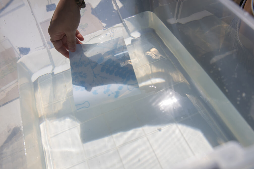 person dipping cyanotype paper in water