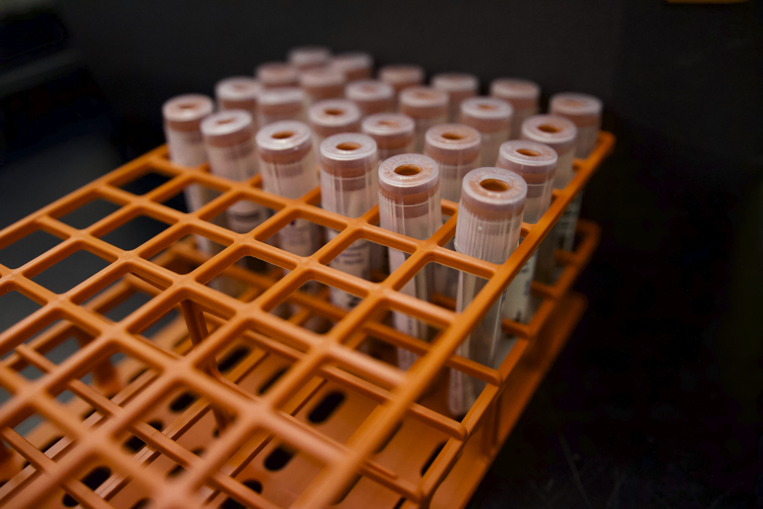 Clark alumni play critical roles in COVID-19 testing process