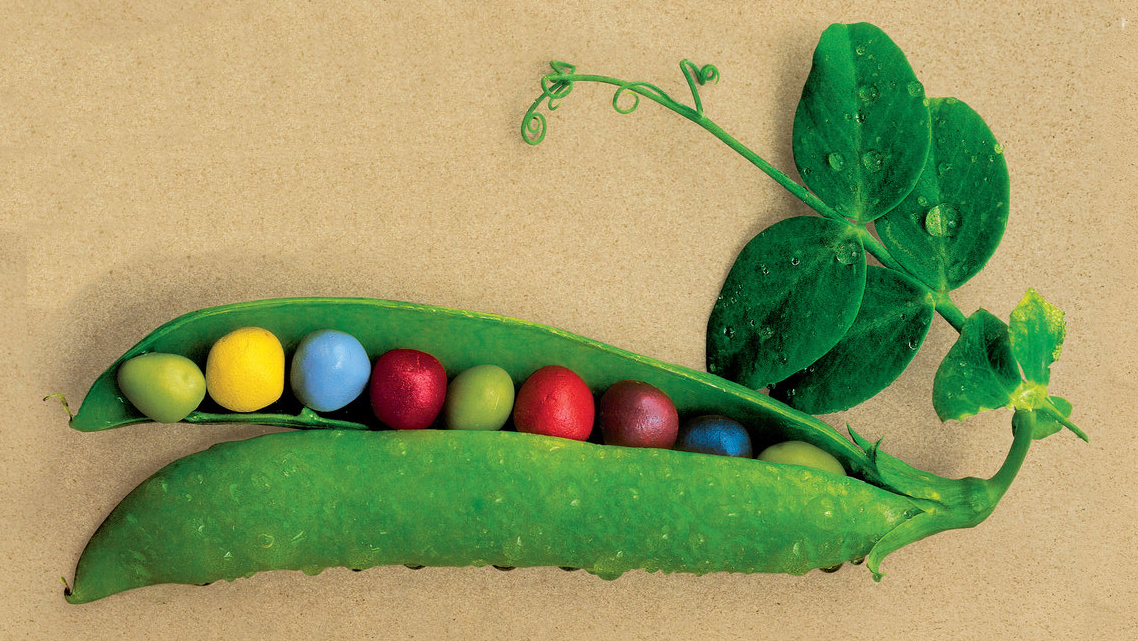 Clarkives: The iconic Clark pea pod