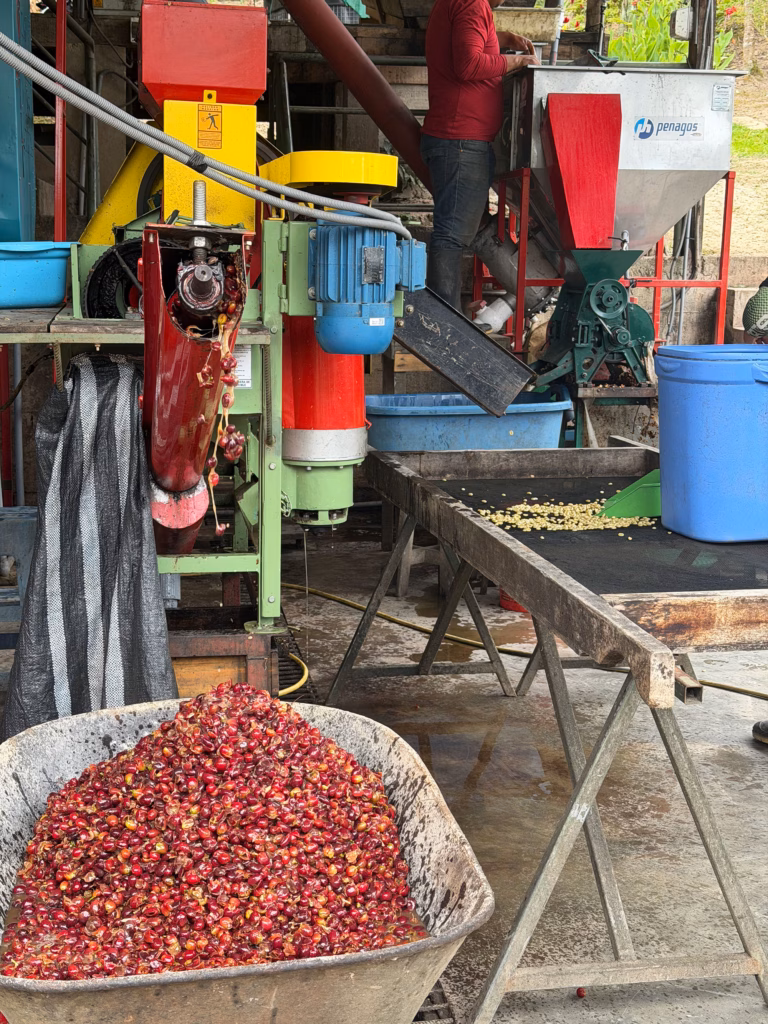 Coffee being roasted