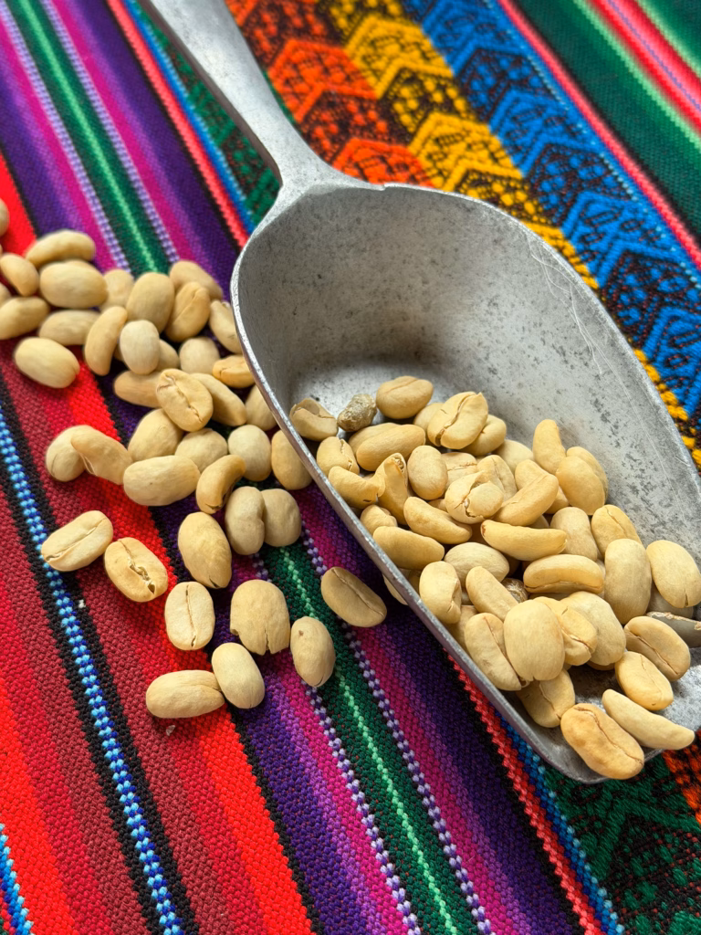 Coffee beans on blanket