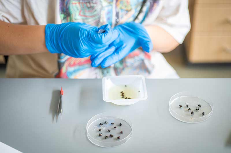 samples on display in the lab