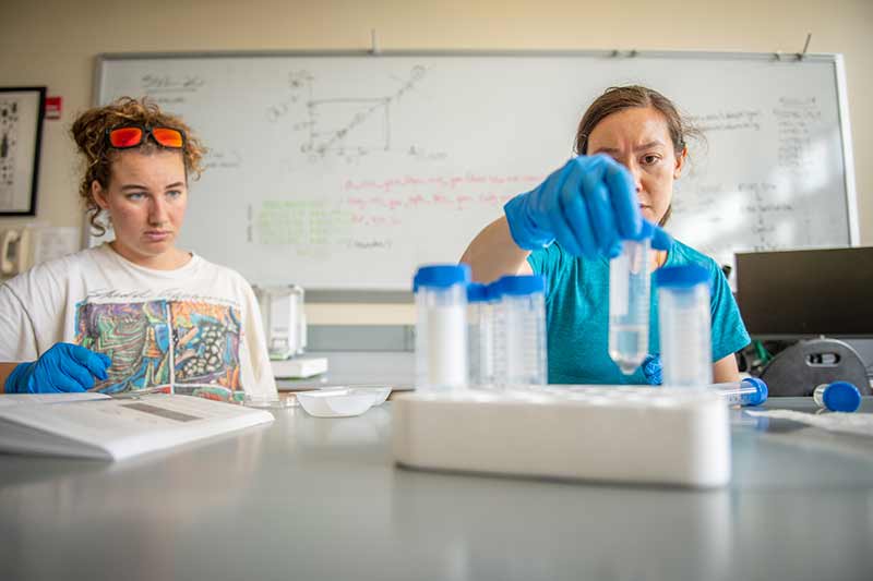 Professor McCullough works with a student in the lab
