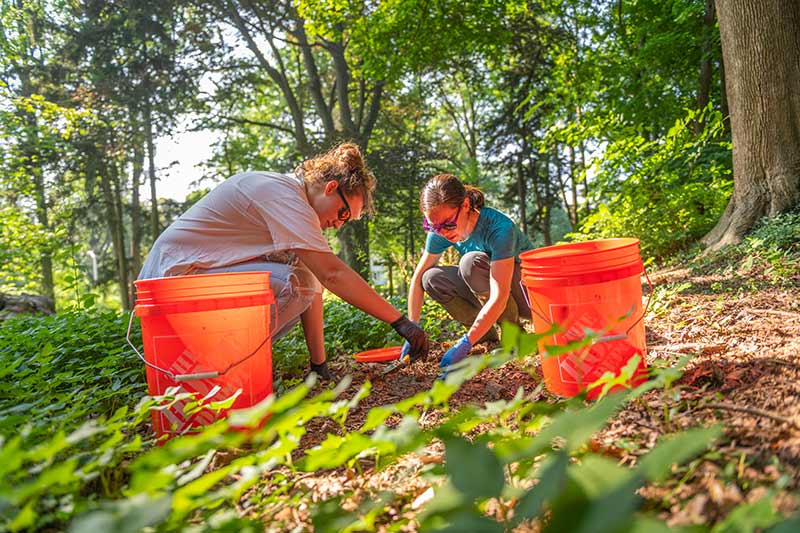 a student and professor collect beetles