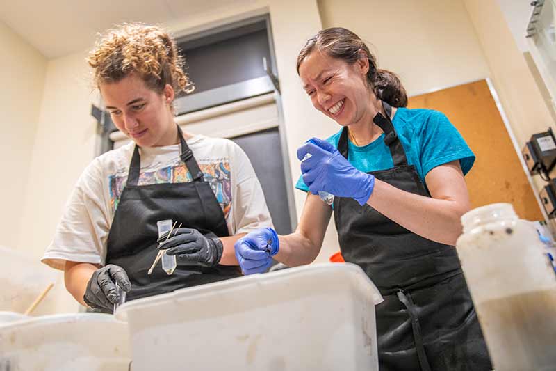 Professor McCullough works with a student in the lab