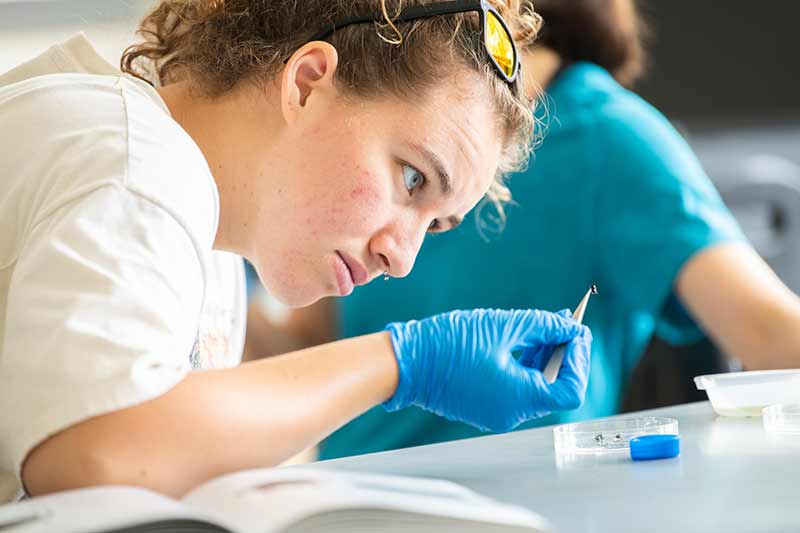 a student examines a sample in the lab