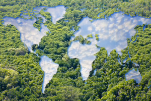Map of the earth with trees outlining continents showing blue sky