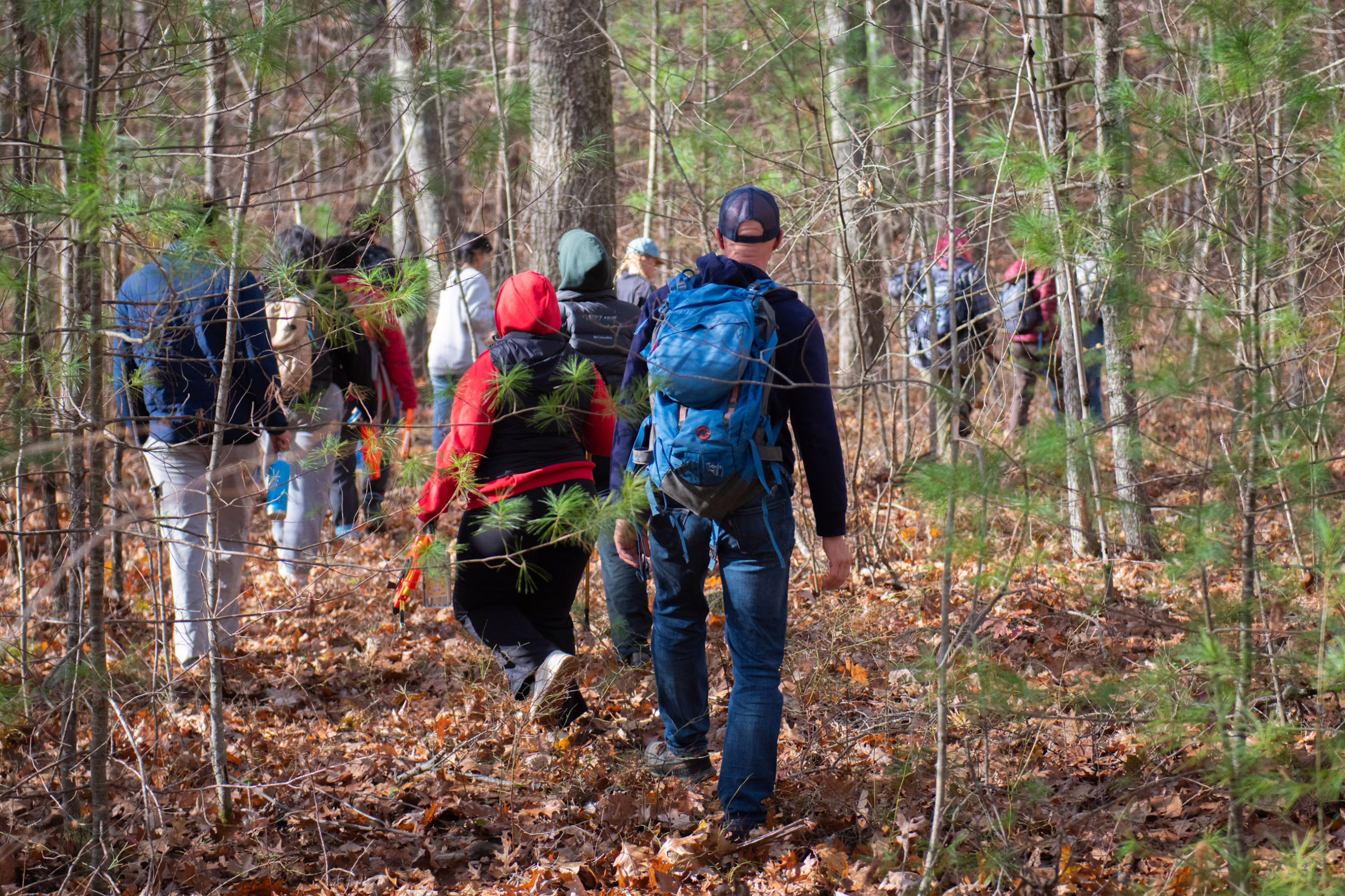 Field Methods students in the forest