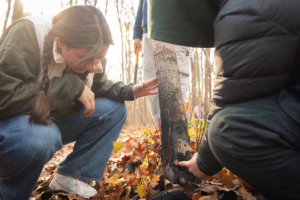 Field Methods students in the forest