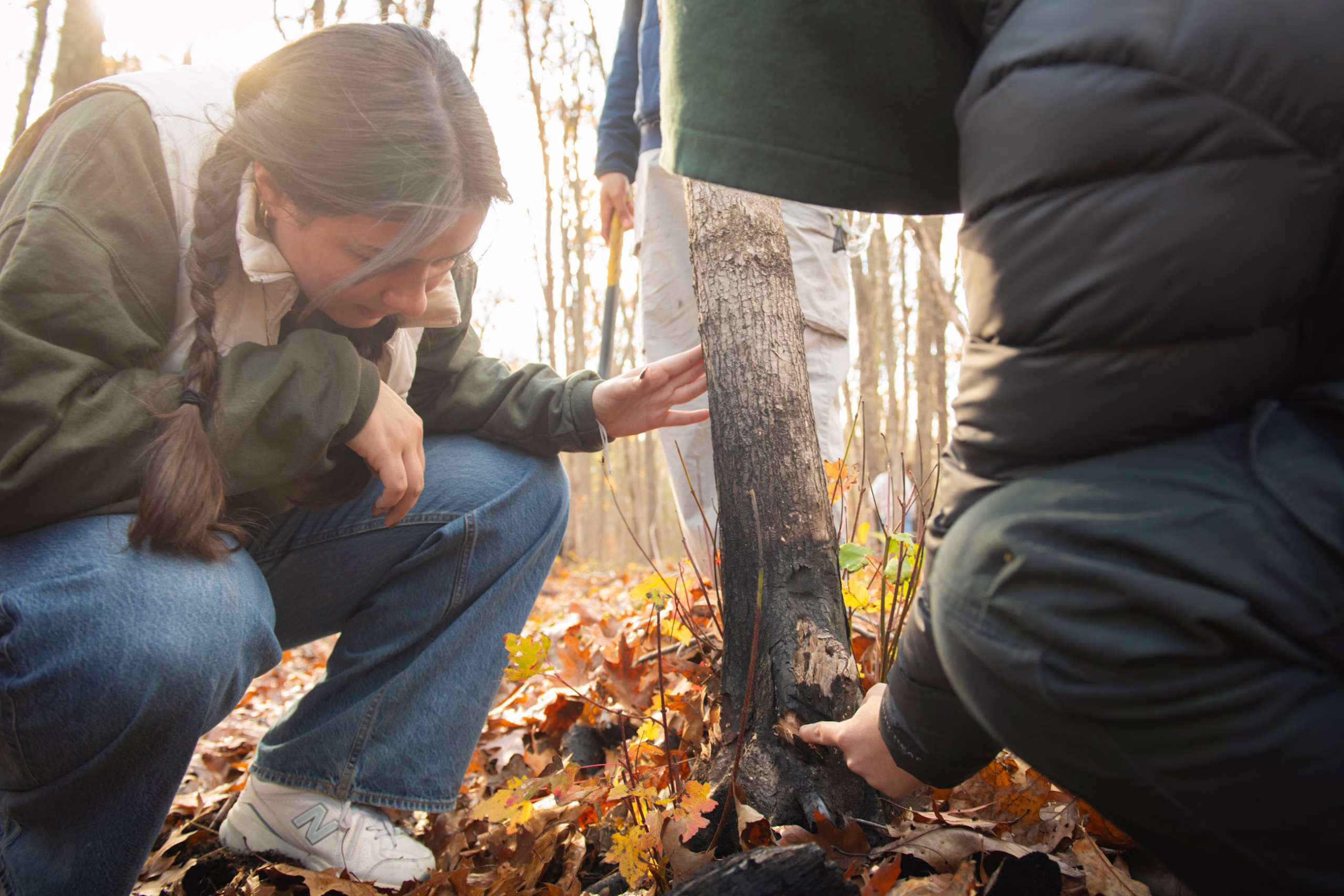 Field Methods students in the forest