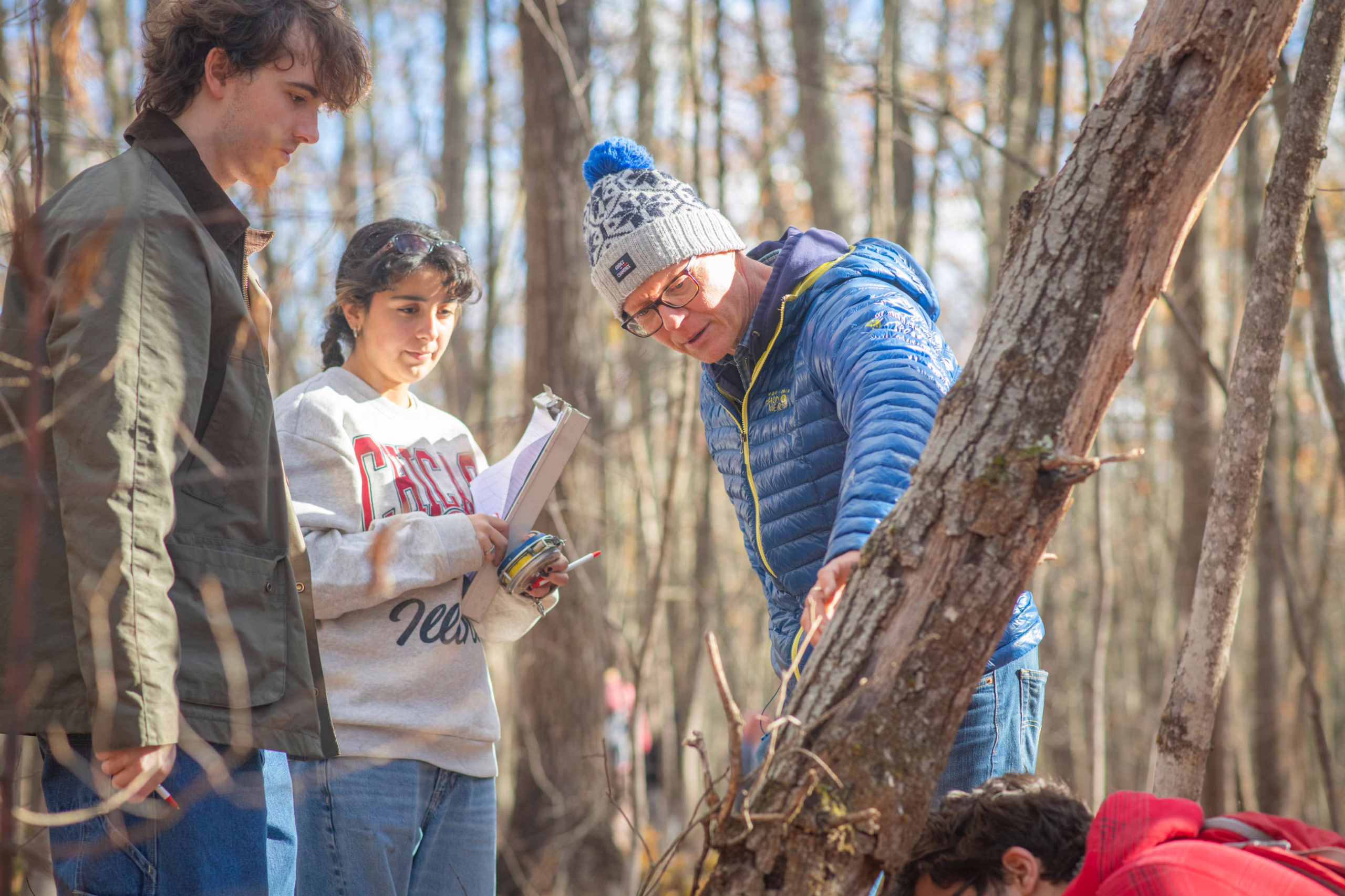 Field Methods students in the forest