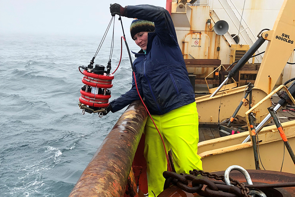 Newly released research predicts the greening of the Arctic