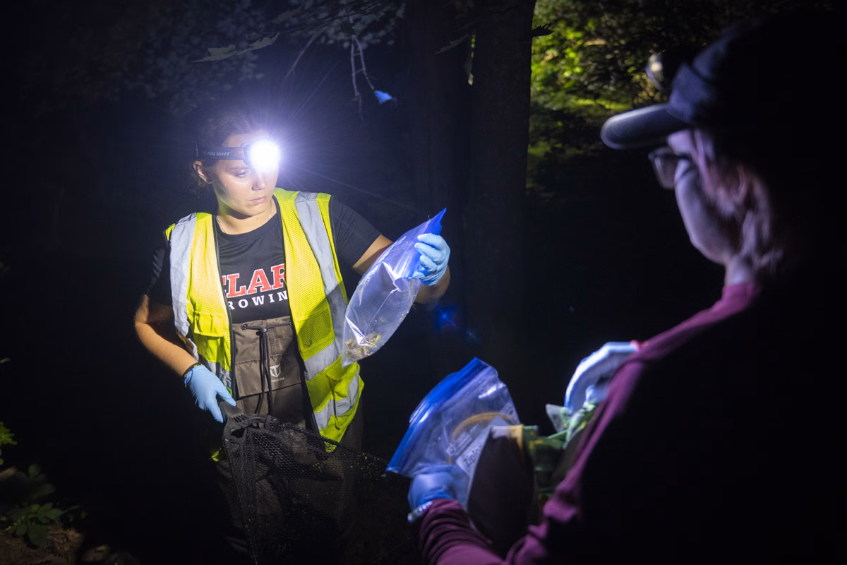 Students collect frogs for research, then returned to their habitats