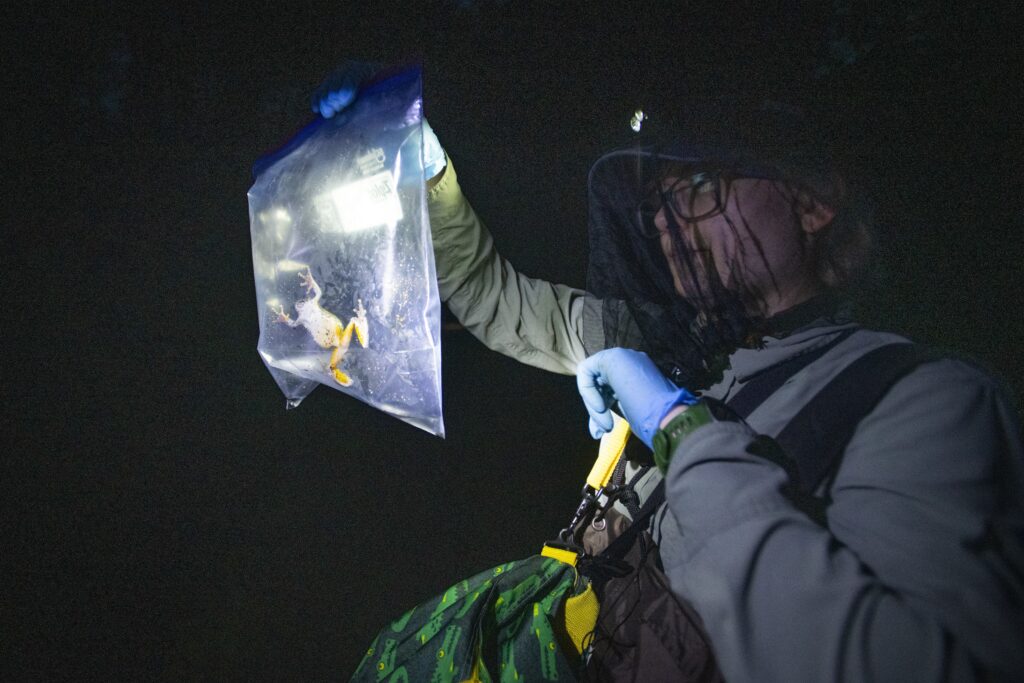 doctoral student holds bag with frog in it