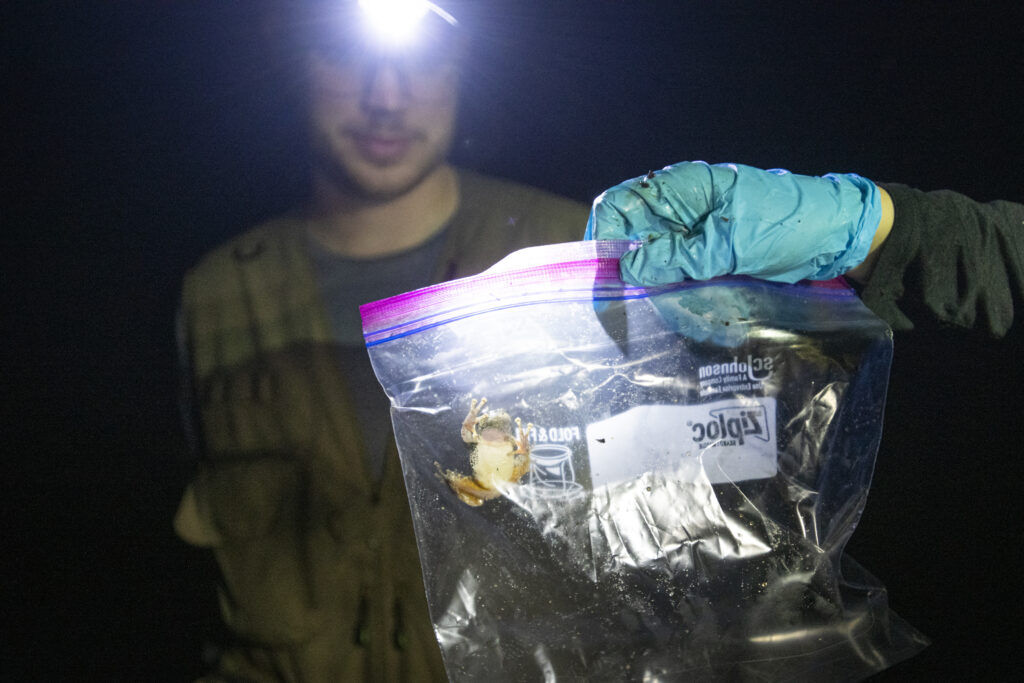 student looks at frog in bag