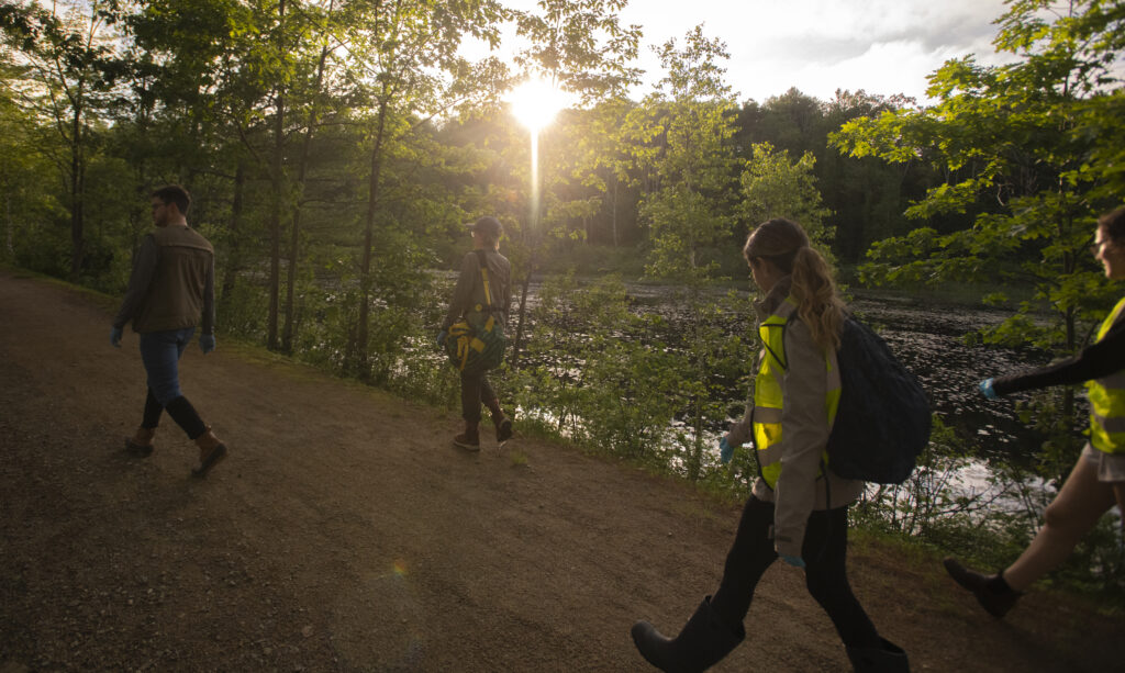 professor and students capture frogs at pond for research