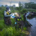 professor and students capture frogs at pond for research