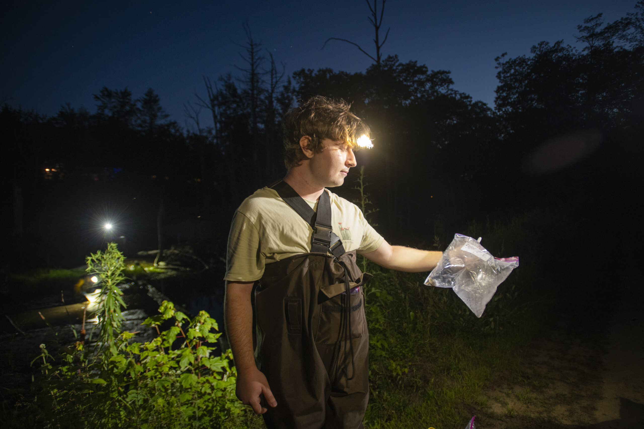 professor and students capture frogs at pond for research