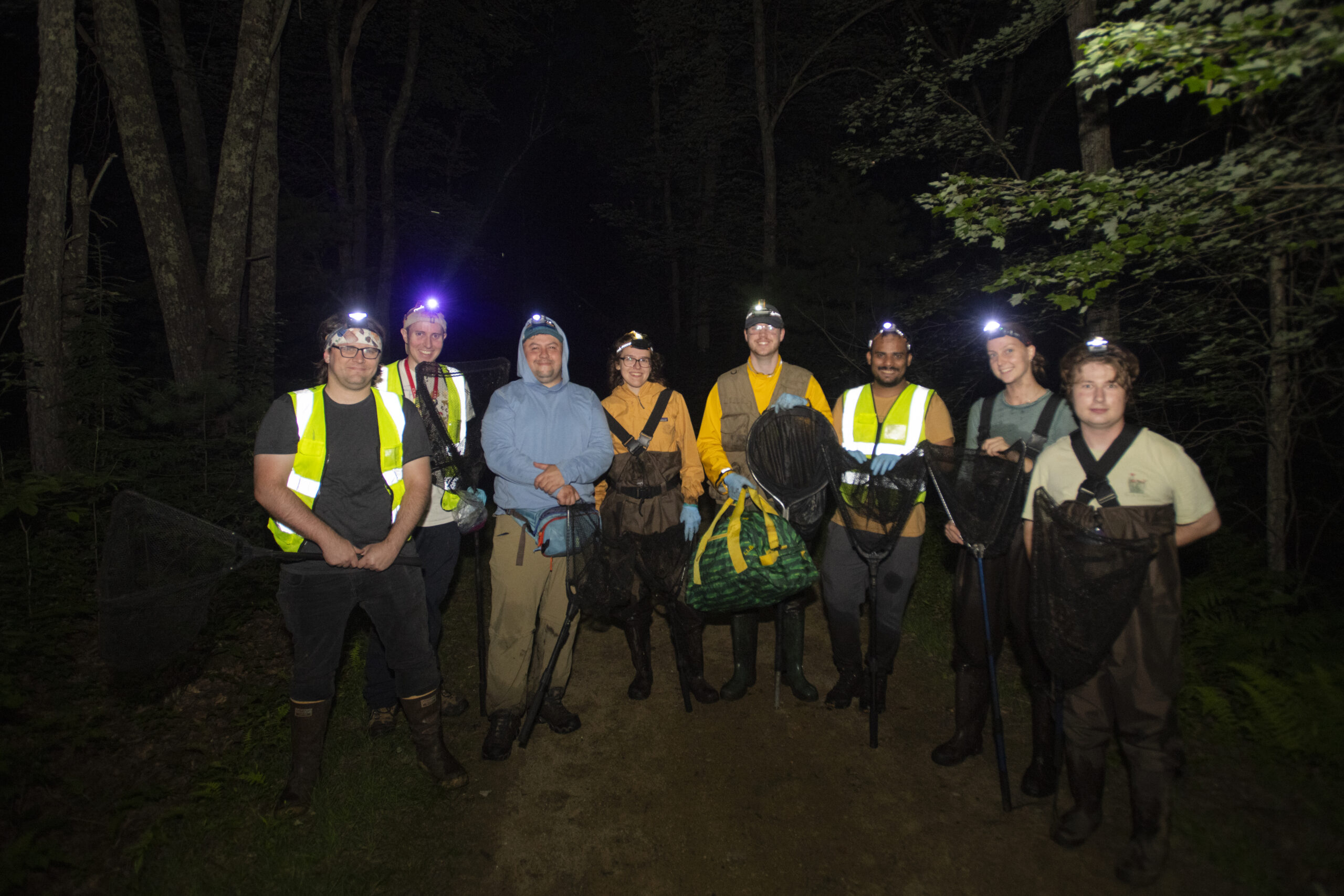 professor and students capture frogs at pond for research