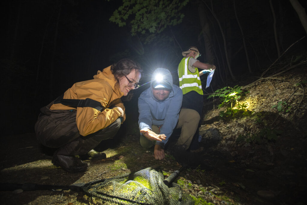 professor and students capture frogs at pond for research