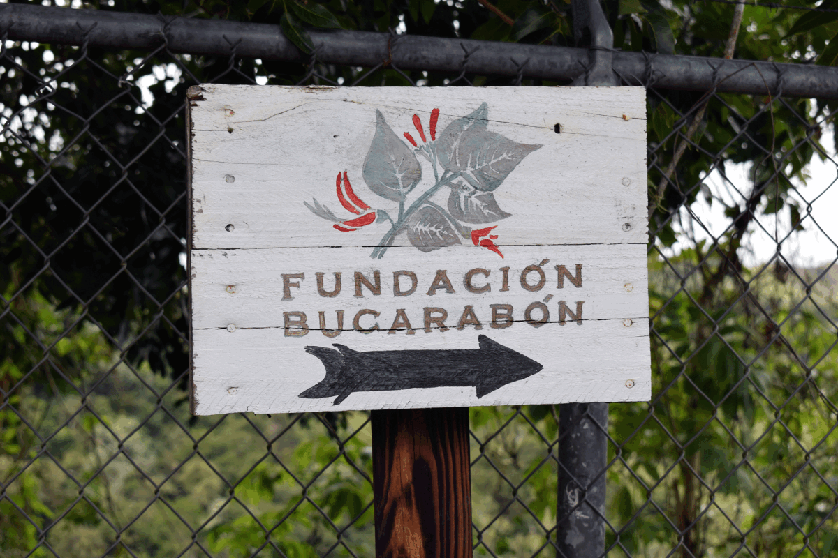 Fundacion Bucarabon sign