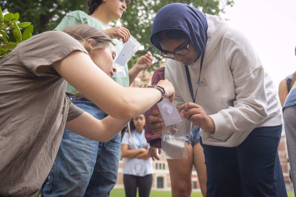 students do experiment outisde