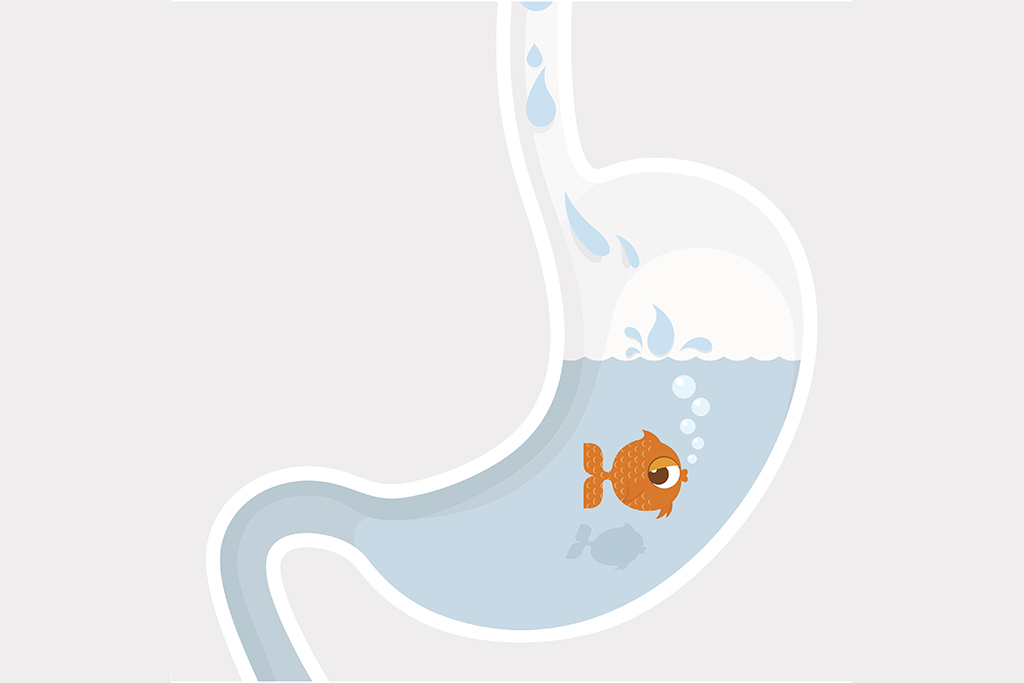 Graphic of goldfish in a stomach