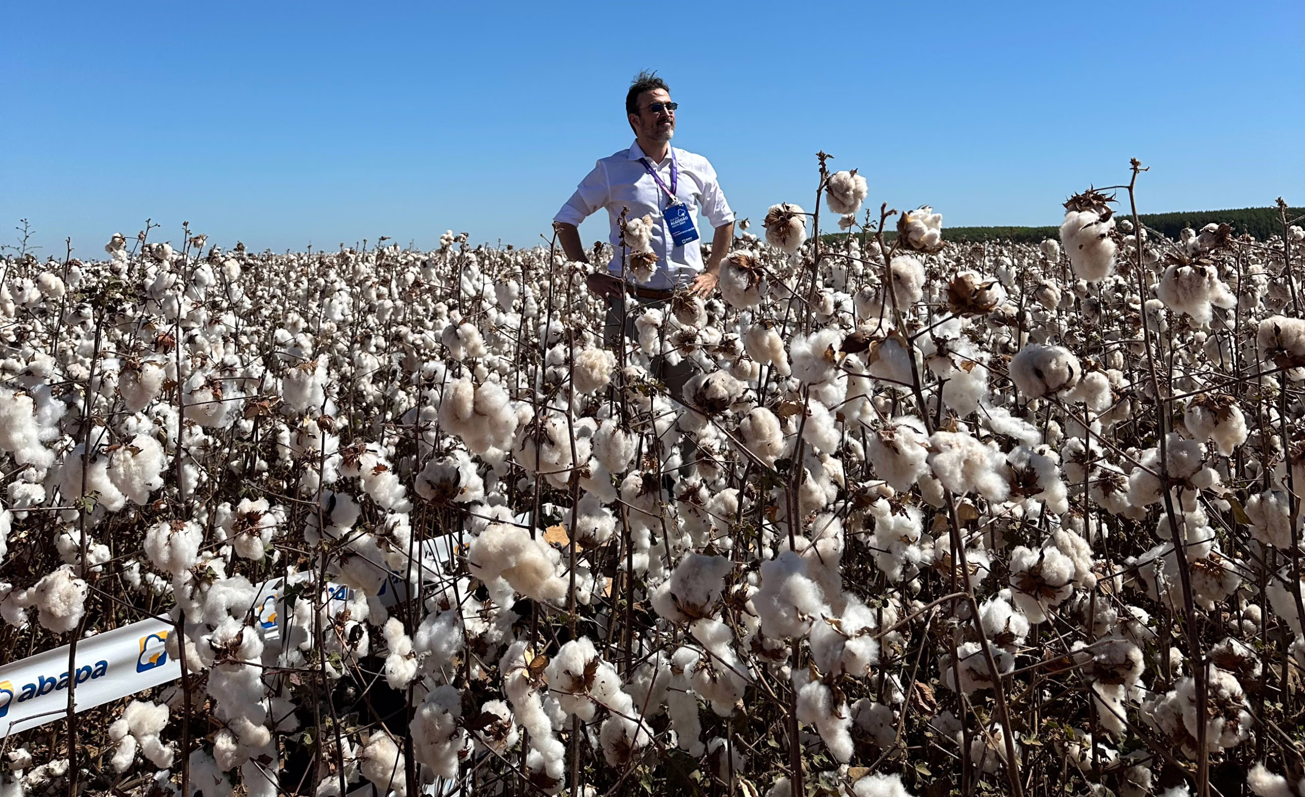 Gustavo Oliveira stands in a cotton field in Brazil