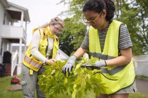 Student examining tree with DCR employee